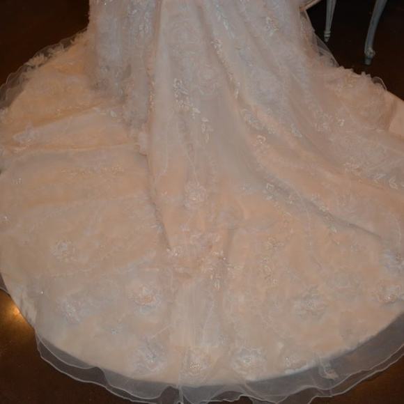 Wedding Dress - Picture 5 of 6